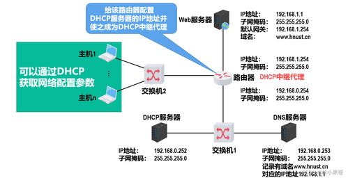 计算机网络之应用层